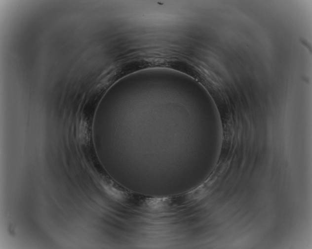 X0000091710136200708311124