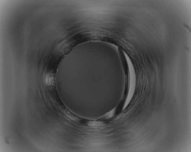 X0000091710137200708311124