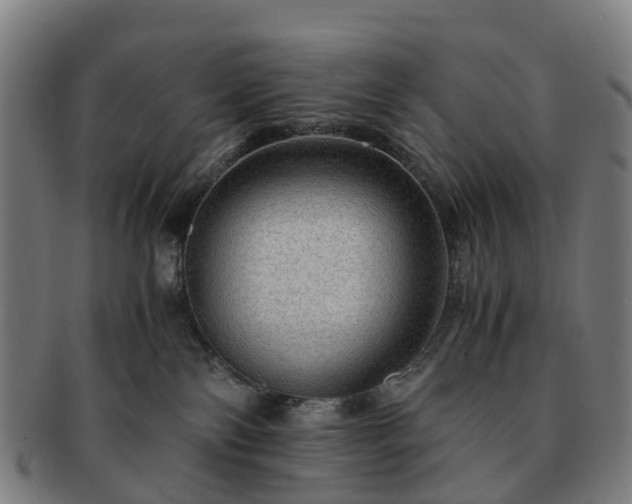 X0000091710138200708311124