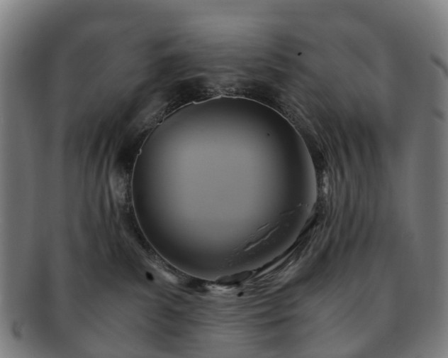 X0000091710139200708311124