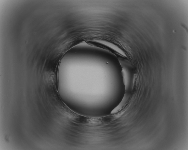 X0000091710141200708311124