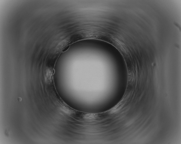 X0000091710142200708311124