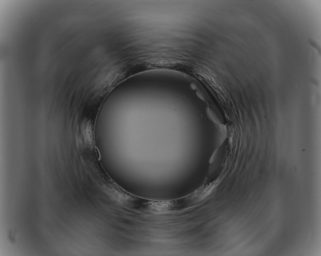 X0000091710143200708311124