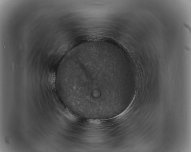 X0000091710144200708311124