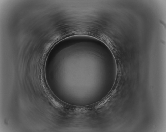 X0000091710145200708311123