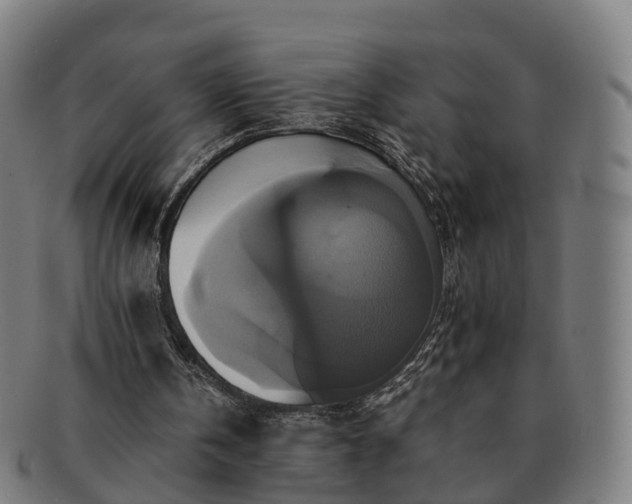 X0000091710146200708311123