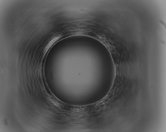 X0000091710147200708311123