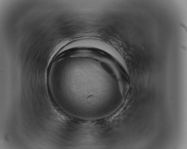 X0000091710148200708311123