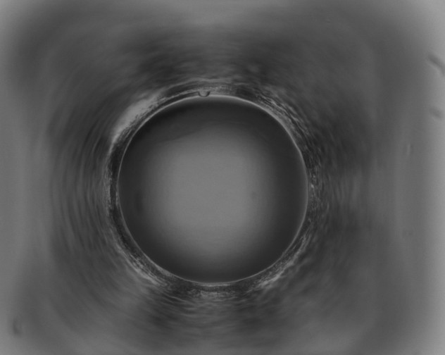 X0000091710149200708311123