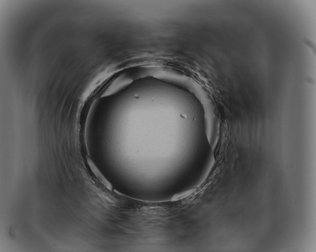 X0000091710150200708311123