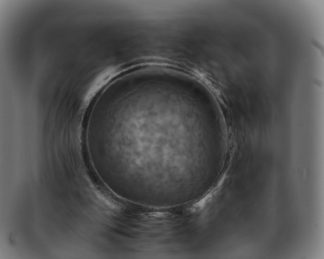 X0000091710151200708311123