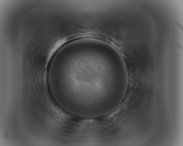 X0000091710152200708311123