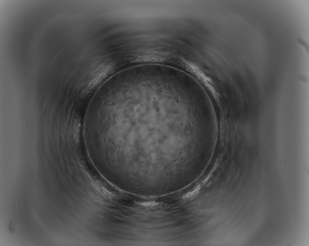 X0000091710153200708311123