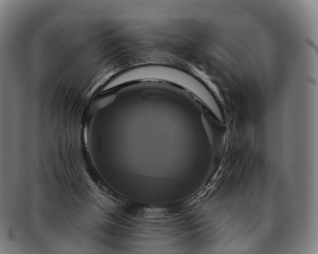 X0000091710154200708311123