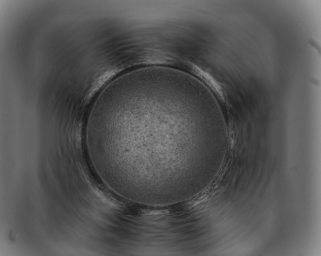 X0000091710155200708311123