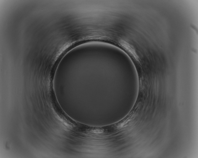 X0000091710156200708311123