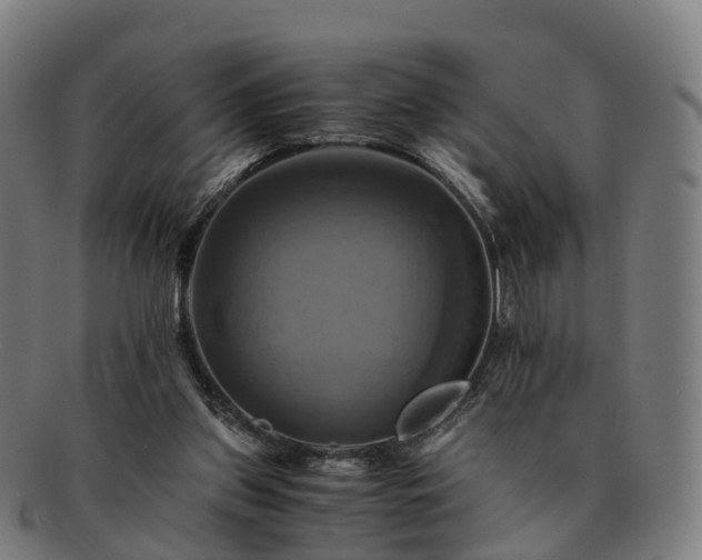 X0000091710157200708311123