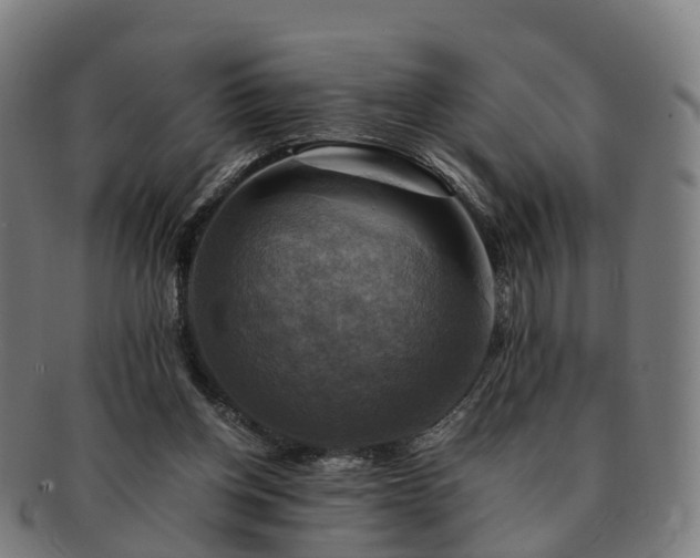 X0000091710158200708311123