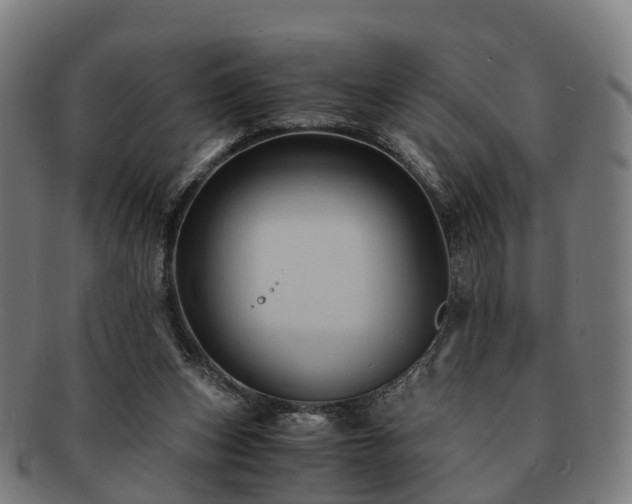 X0000091710159200708311123