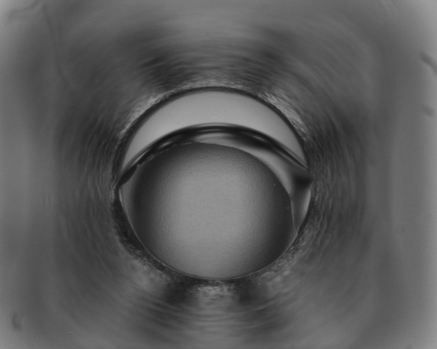 X0000091710160200708311123