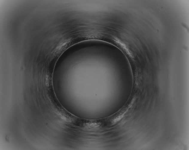 X0000091710161200708311123