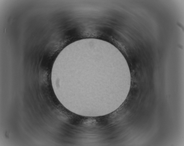 X0000091710162200708311123