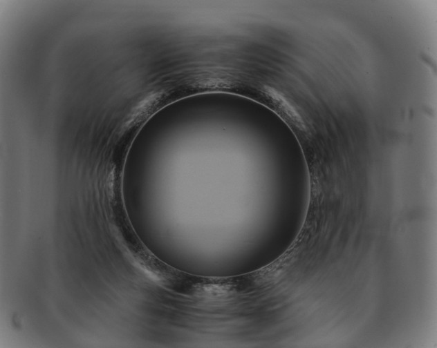 X0000091710163200708311123