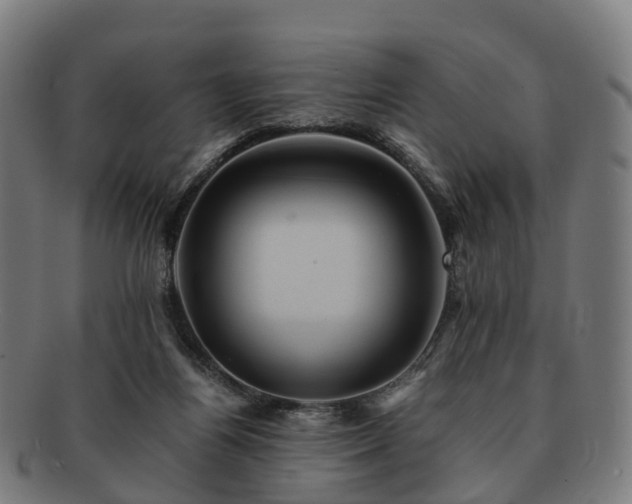 X0000091710164200708311123