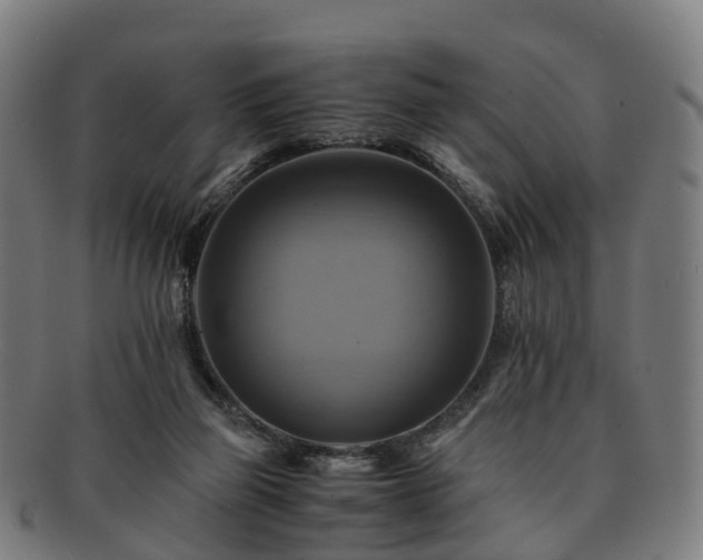 X0000091710165200708311123