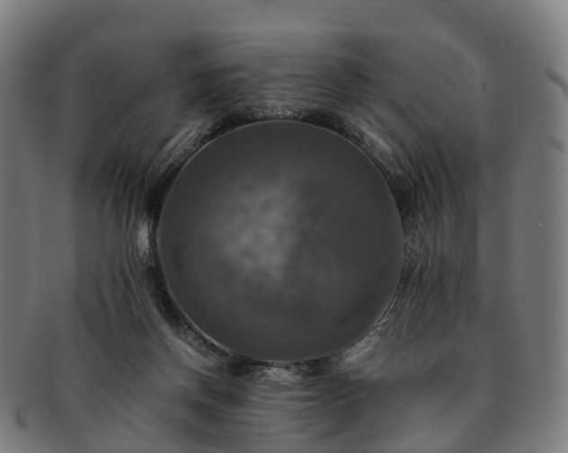 X0000091710166200708311123