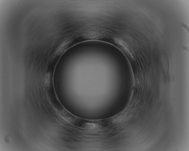 X0000091710167200708311123