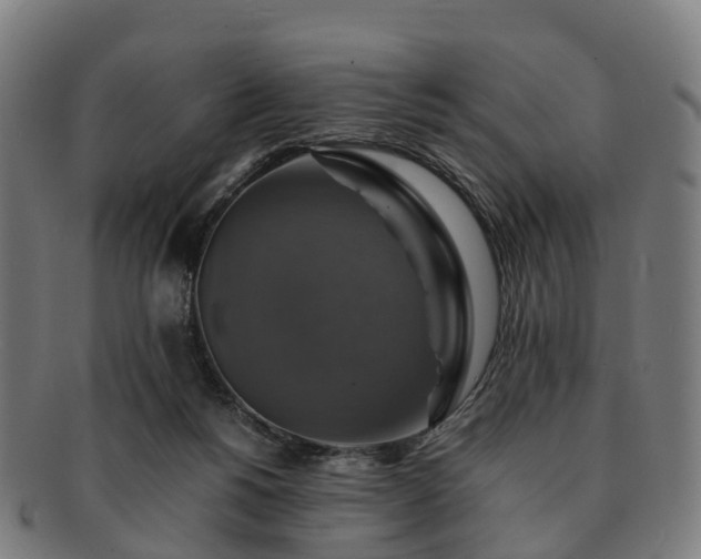 X0000091710168200708311124