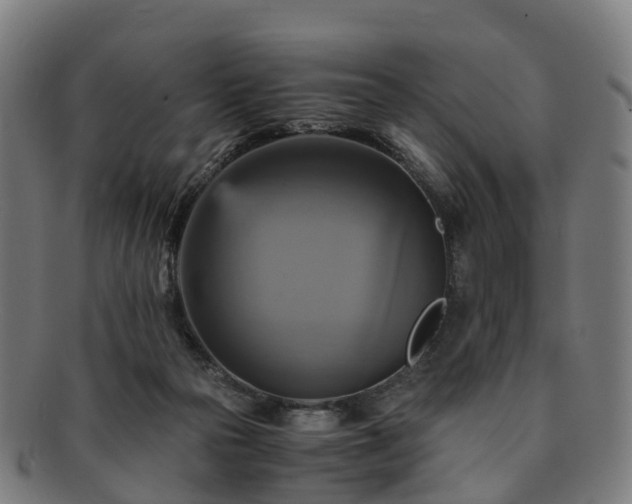 X0000091710169200708311124