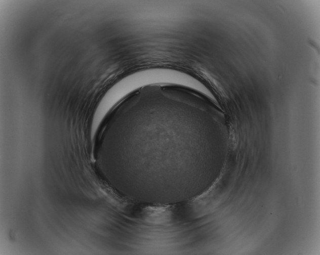 X0000091710170200708311124