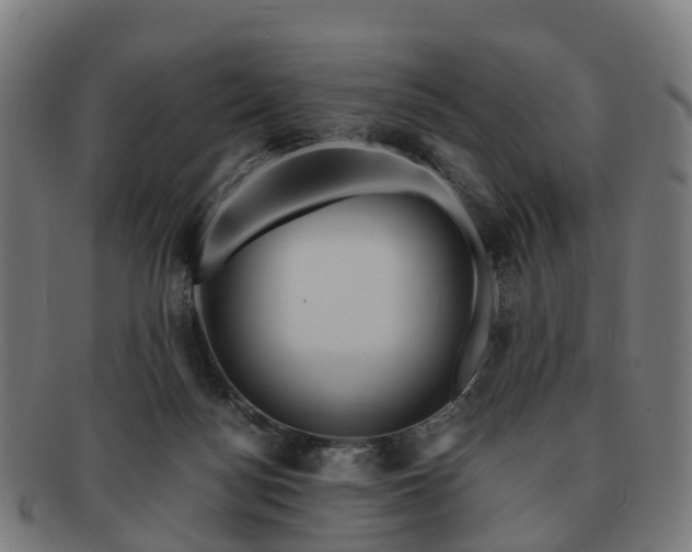 X0000091710172200708311124