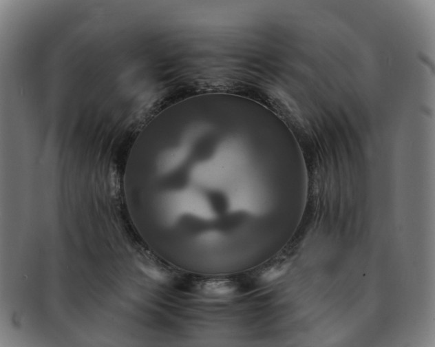 X0000091710173200708311124