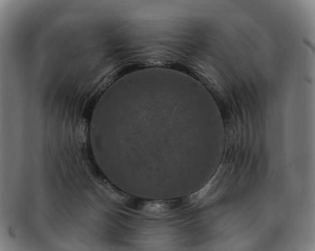 X0000091710174200708311124