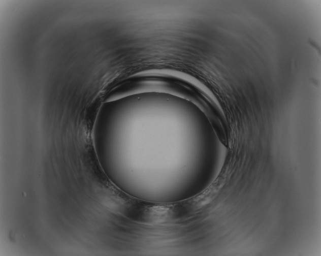 X0000091710176200708311124