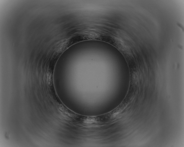 X0000091710177200708311124