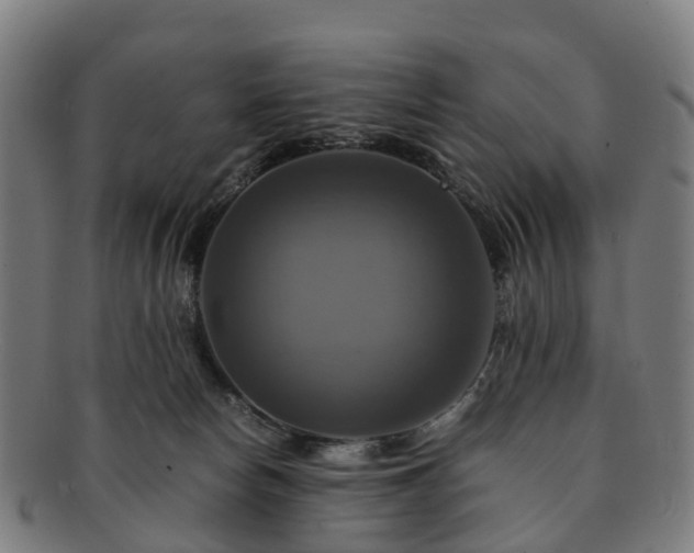 X0000091710178200708311124