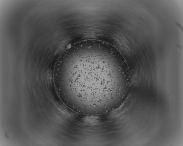 X0000091710179200708311124