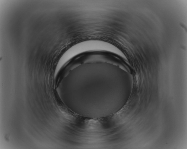 X0000091710180200708311124