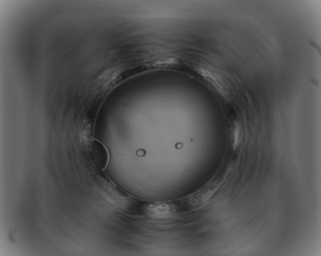 X0000091710181200708311124