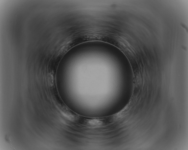 X0000091710183200708311124