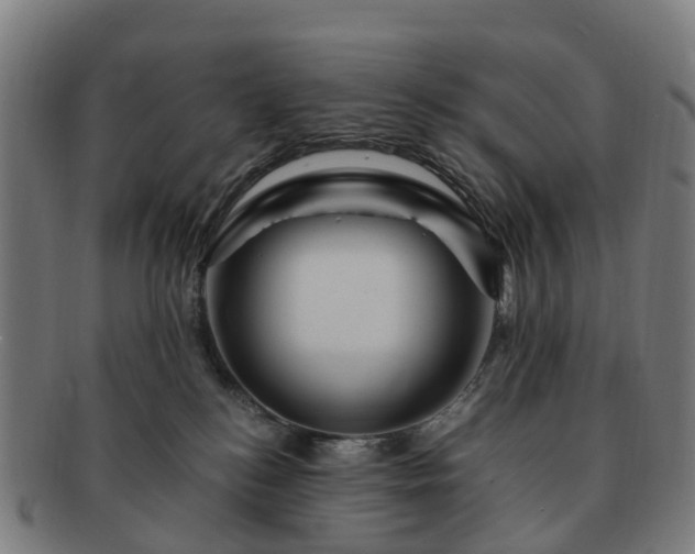 X0000091710184200708311124