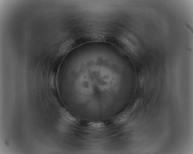 X0000091710185200708311124