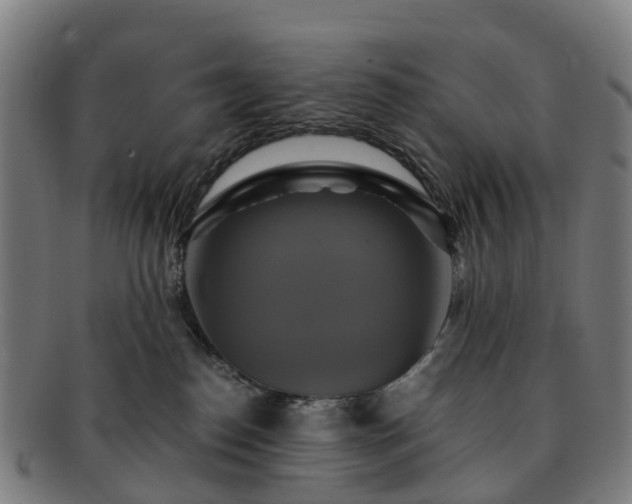 X0000091710186200708311124