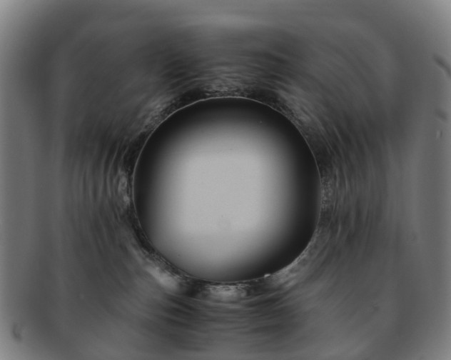 X0000091710187200708311124