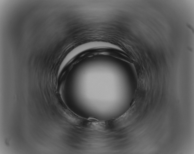 X0000091710188200708311124