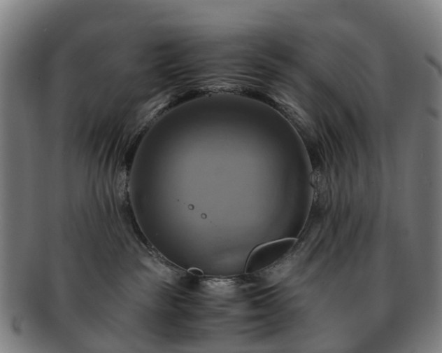 X0000091710189200708311124